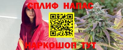 apvp Аргун