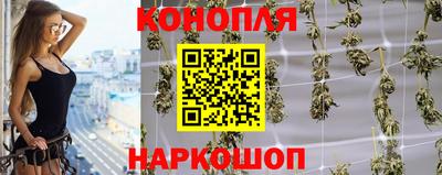 apvp Аргун