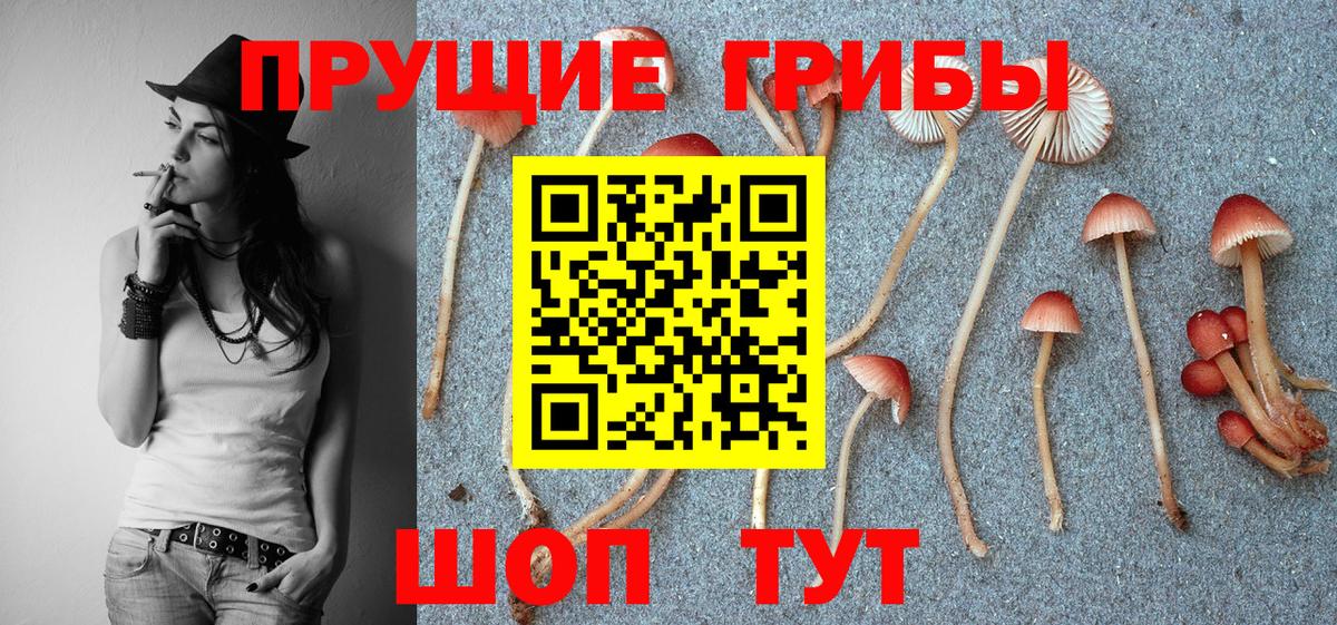 Галлюциногенные грибы ЛСД Архангельск
