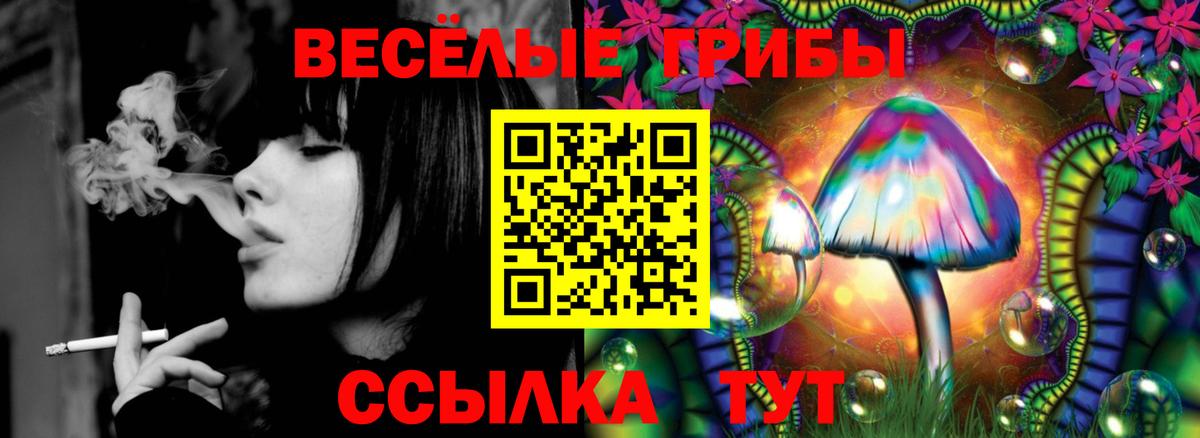 Псилоцибиновые грибы Cubensis  Вход с VPN  Галлюциногенные грибы мухоморы  Архангельск 